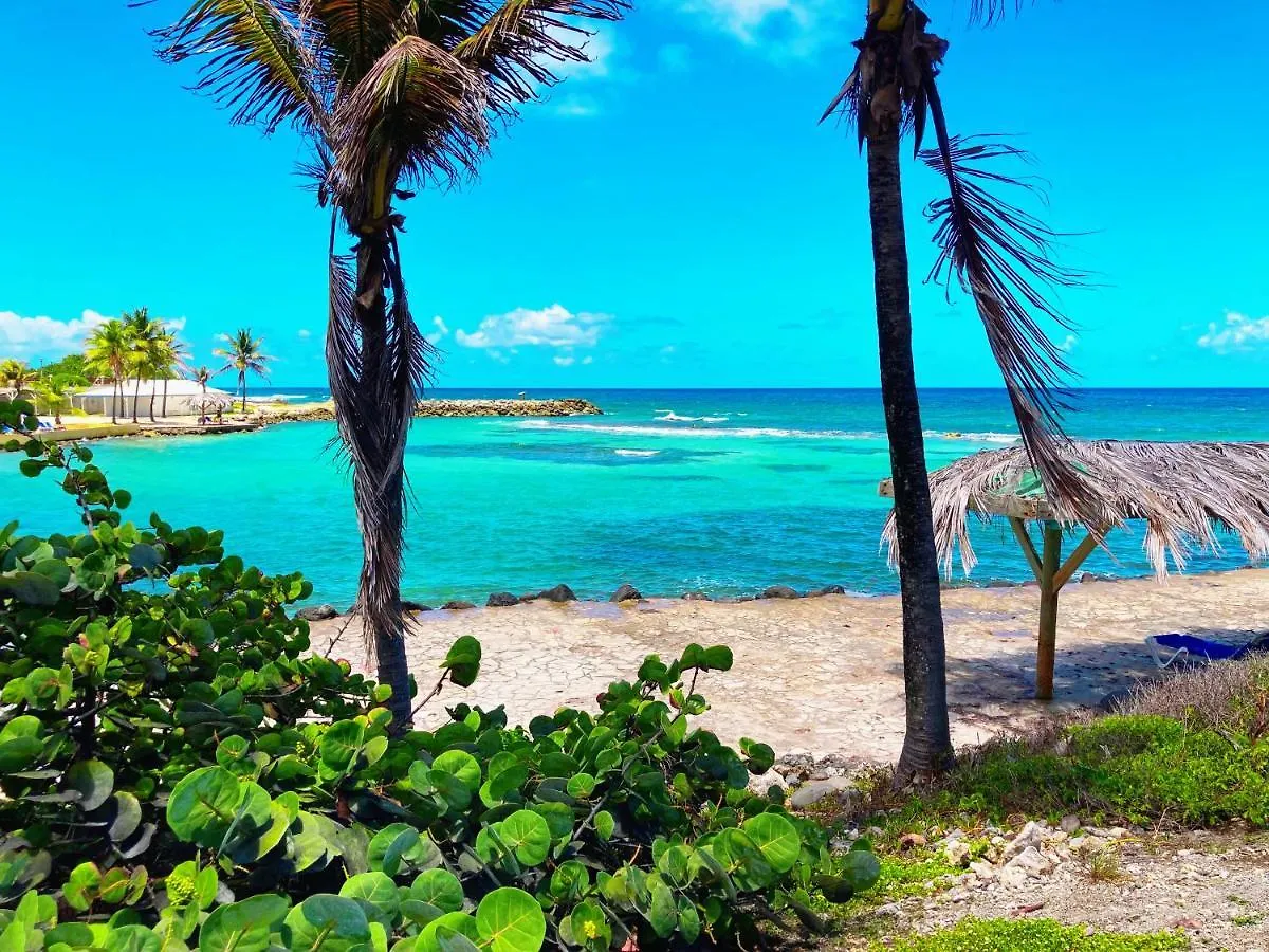 Le Ti Paradis Du Manganao, Acces Direct Plage Saint-Francois  Apartamento